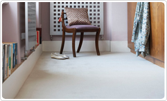 carpet cleaning image 1