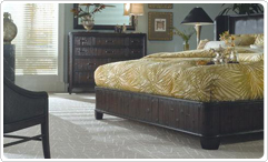 carpet cleaning image 2