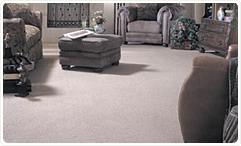 carpet cleaning image 3